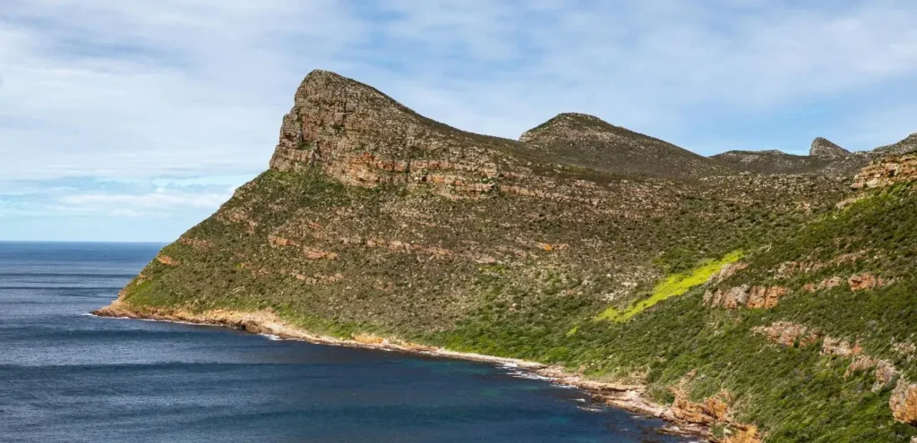 South African Airways Corporate Office Headquarters